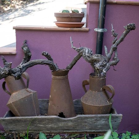 Agriturismo Etna-Mare Piedimonte Etneo Bagian luar foto