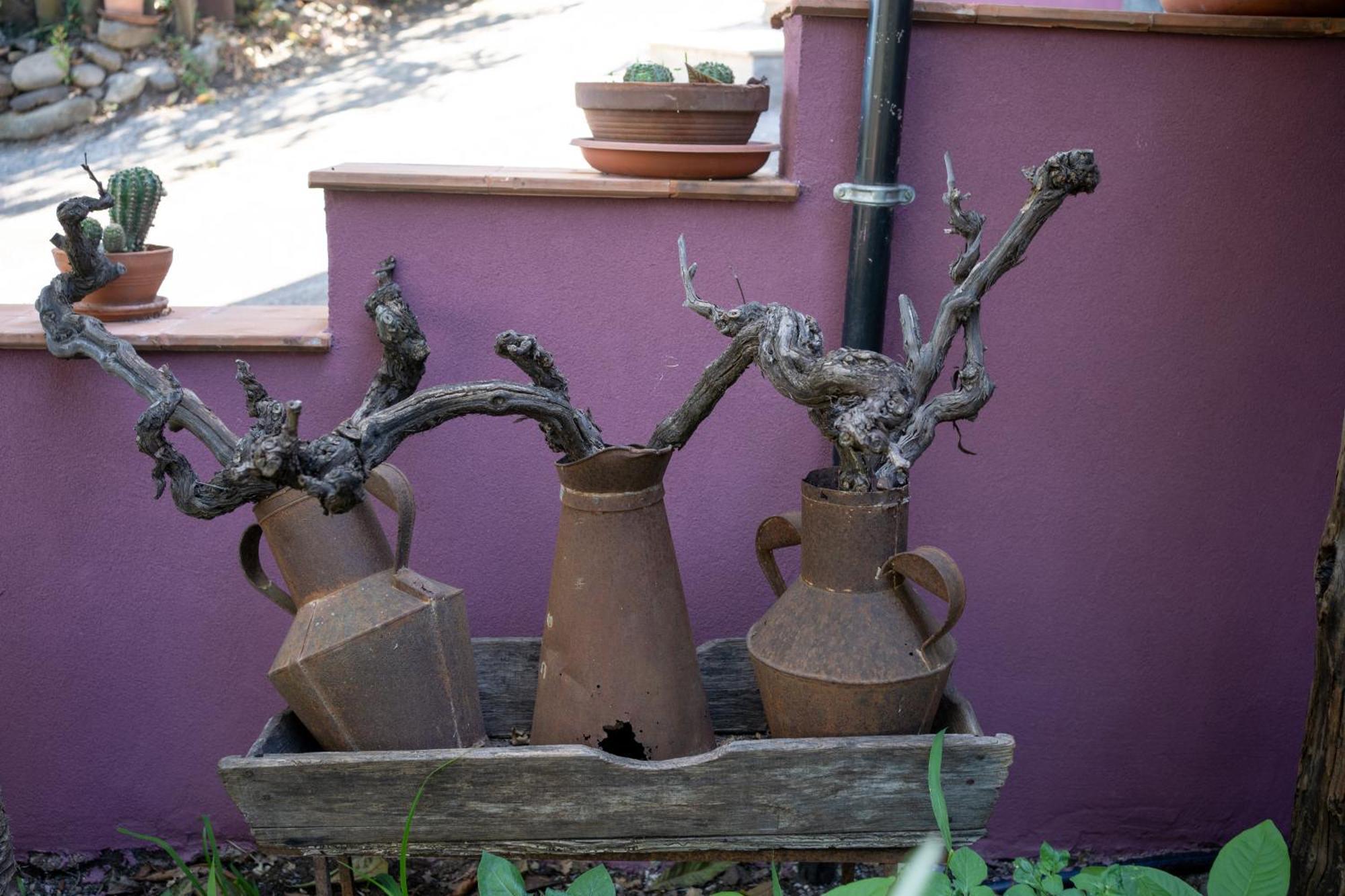 Agriturismo Etna-Mare Piedimonte Etneo Bagian luar foto