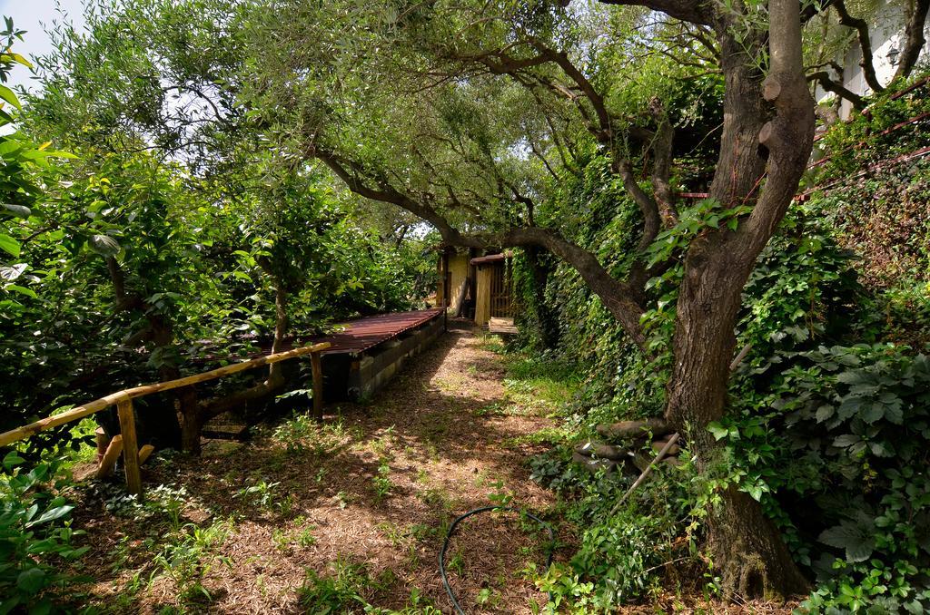 Agriturismo Etna-Mare Piedimonte Etneo Bagian luar foto