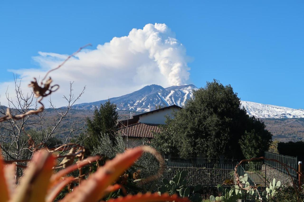Agriturismo Etna-Mare Piedimonte Etneo Bagian luar foto